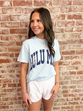 Lulu Mac Chambray Polka Dot Adult Comfort Colors Tee